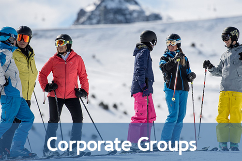 Corporate Groups