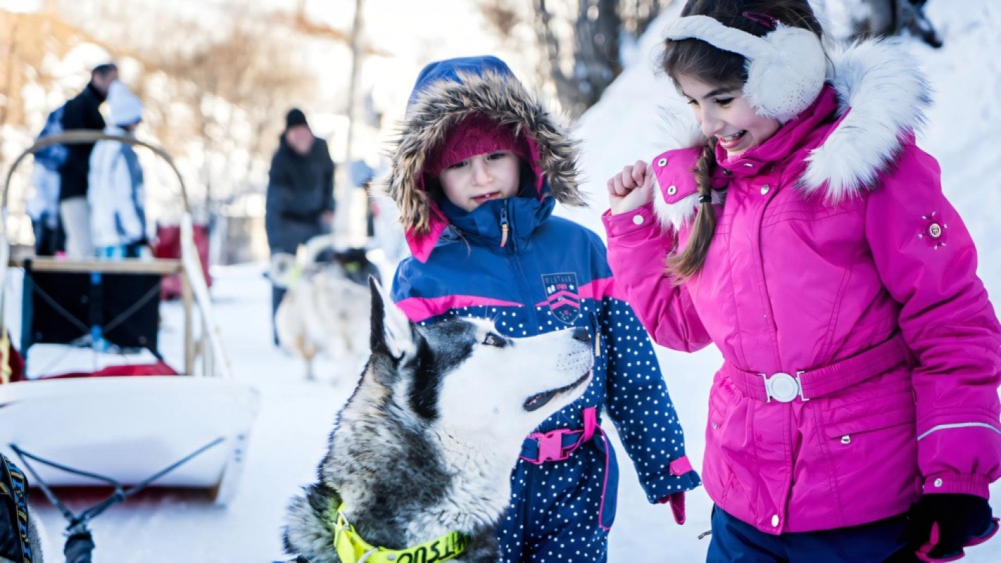 Les Menuires Dog Sledding Les Menuires Dog Sledding
