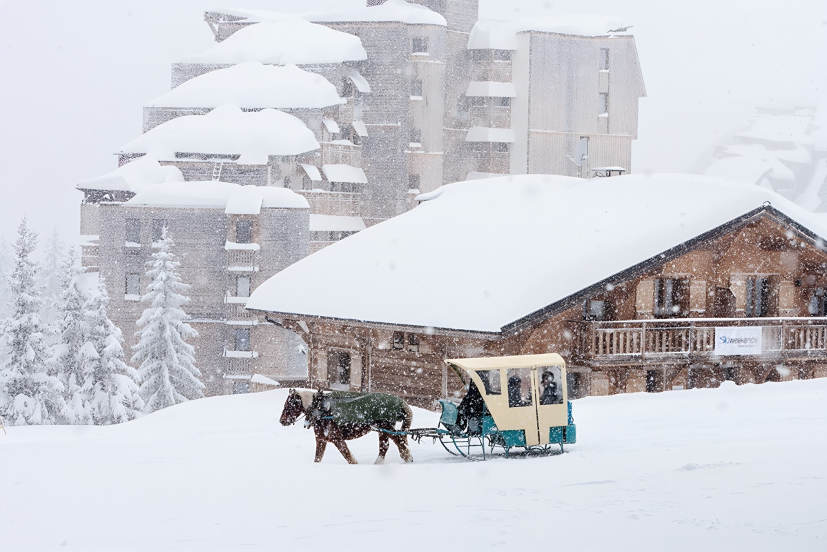 Chalet Violetta in the snow in Avoriaz