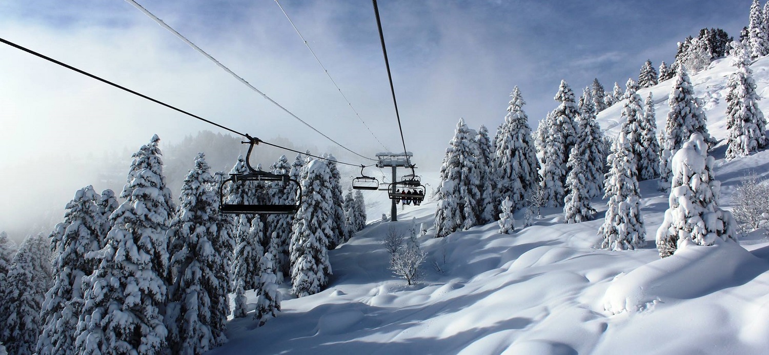 Chairlift rising into fog over a snow covered forest