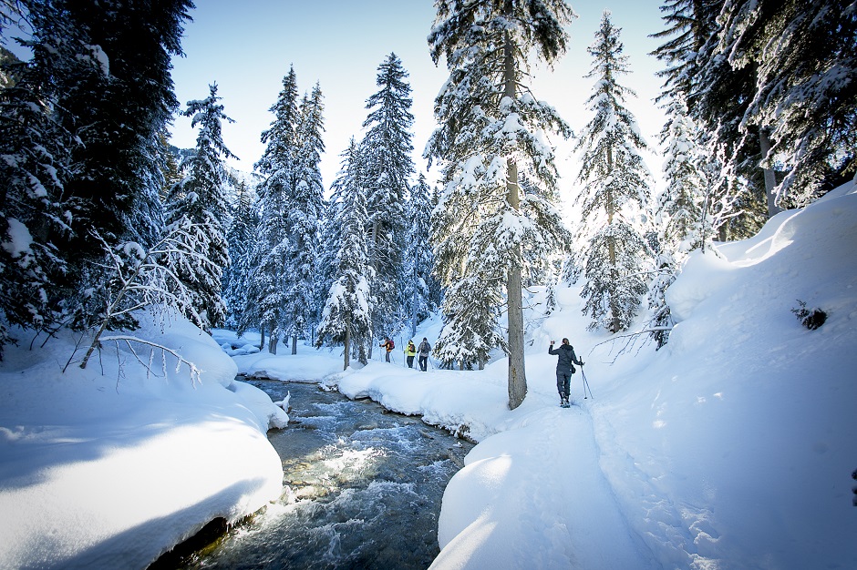 activity filled holidays in Courchevel Hikers in courchevel woods